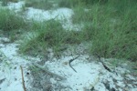 resIMG_20140617_182822_2464.JPG